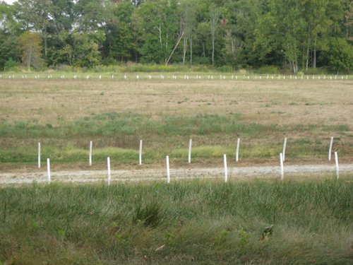 Property photo 55 - 80 Acres Offered in 4 Tracts - Horse Farm